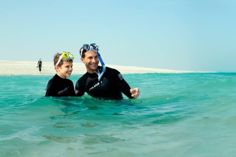 divers in the sea