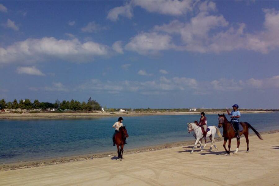 group horse riding