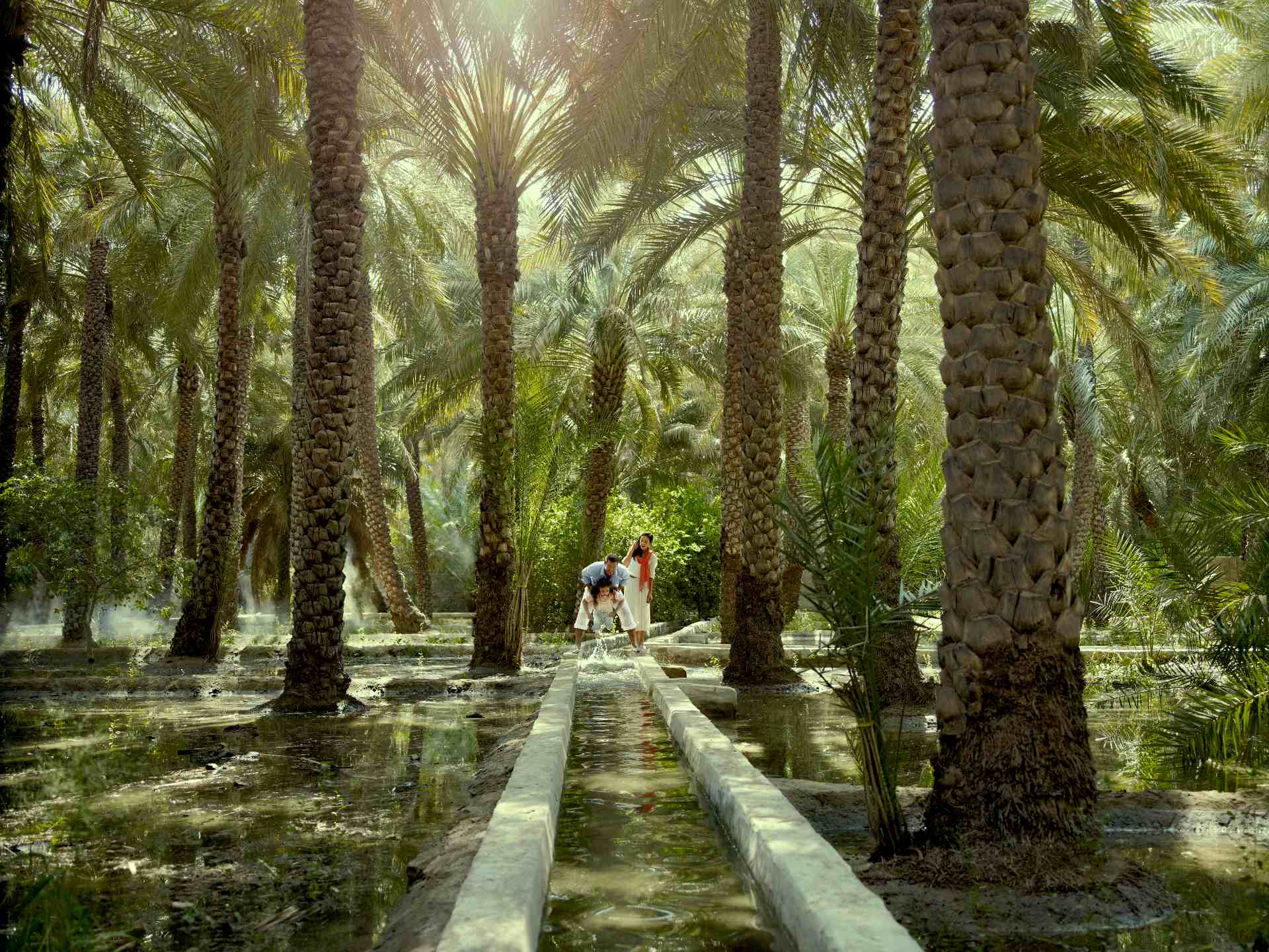 Al Ain Oasis desert trip