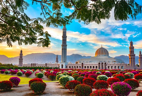 Muscat