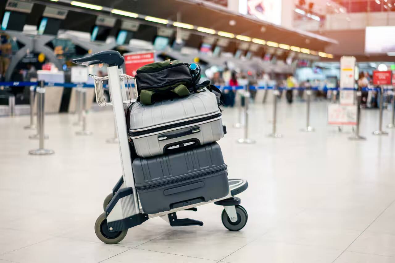 Checked bags